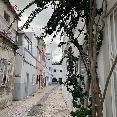 Townhouse With Rooftop Terrace In דירה *
